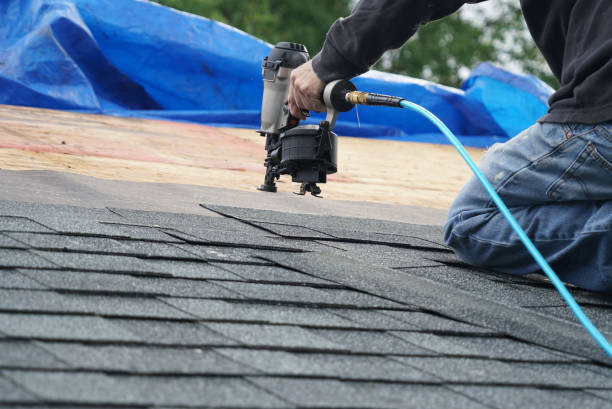 Best Storm Damage Roof Repair  in Newport, KY