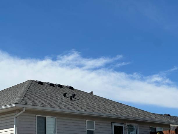 Best Roof Insulation Installation  in Newport, KY